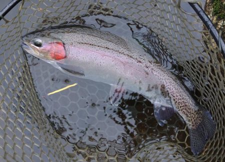 雨の平谷湖フィッシングスポットでエキスパートエリアを独り占め